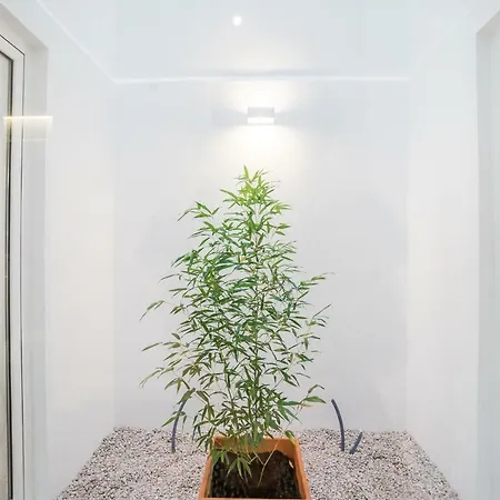 Lemon Tree Garden 3bedroom Lizbona