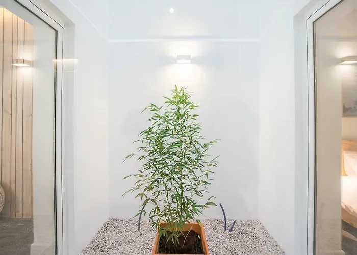 Lemon Tree Garden 3bedroom Lisboa